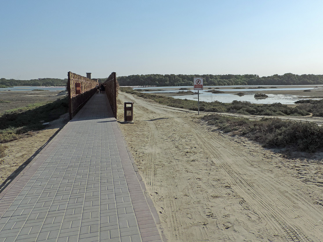 112_Naturschutzgebiet Ras Al Khor Wildlife Sanctuary