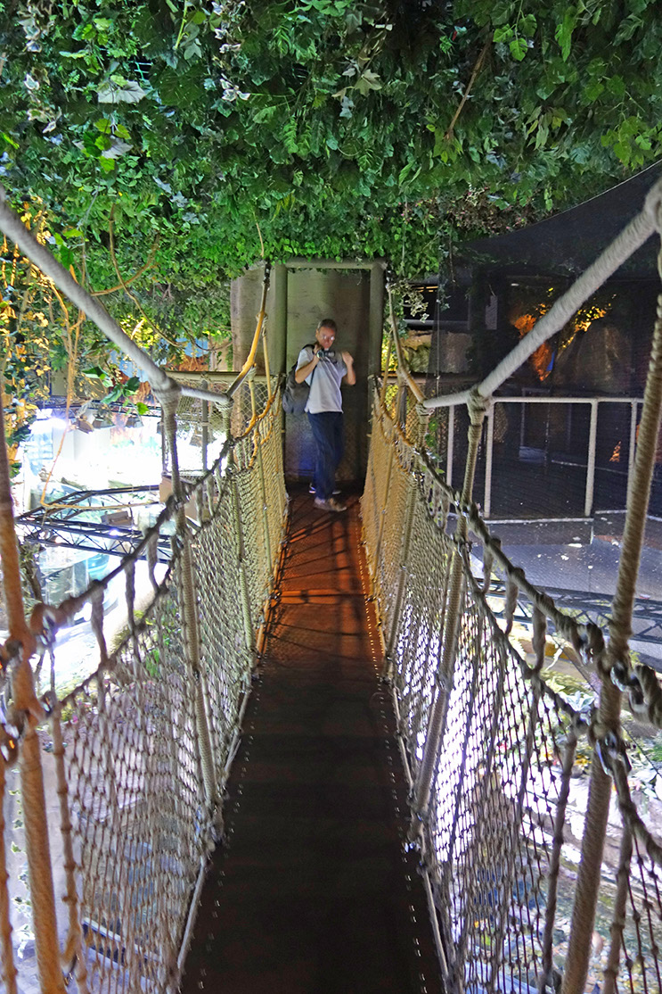 97_Aquarium in der Dubai Mall