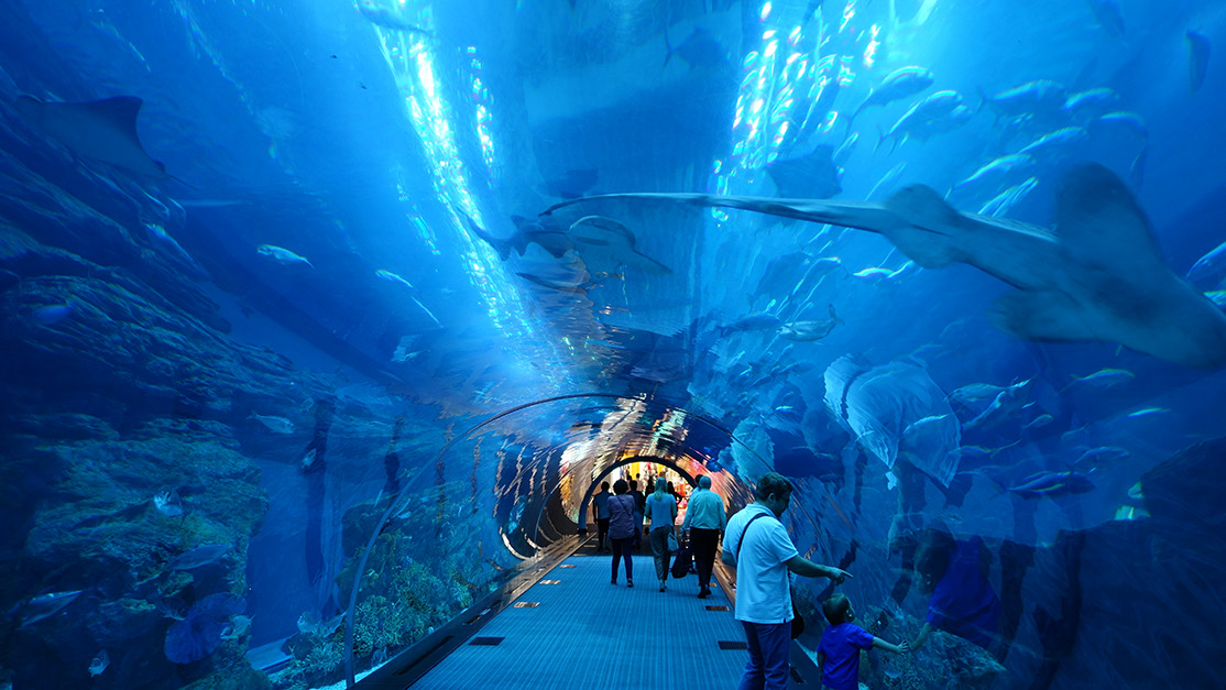 91_Aquarium in der Dubai Mall