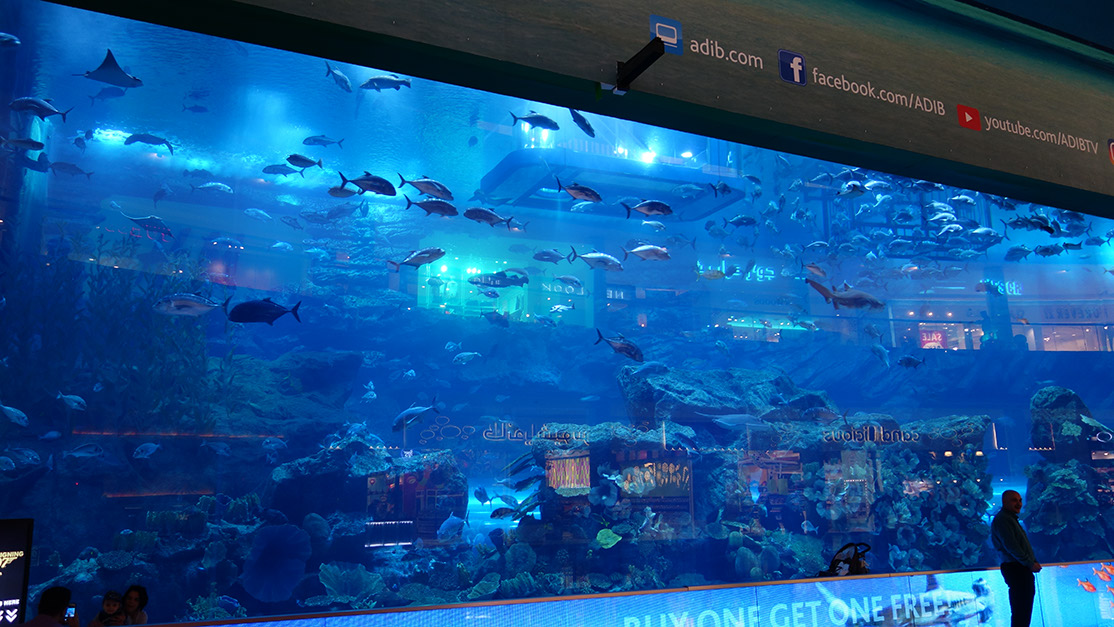 90_Aquarium in der Dubai Mall