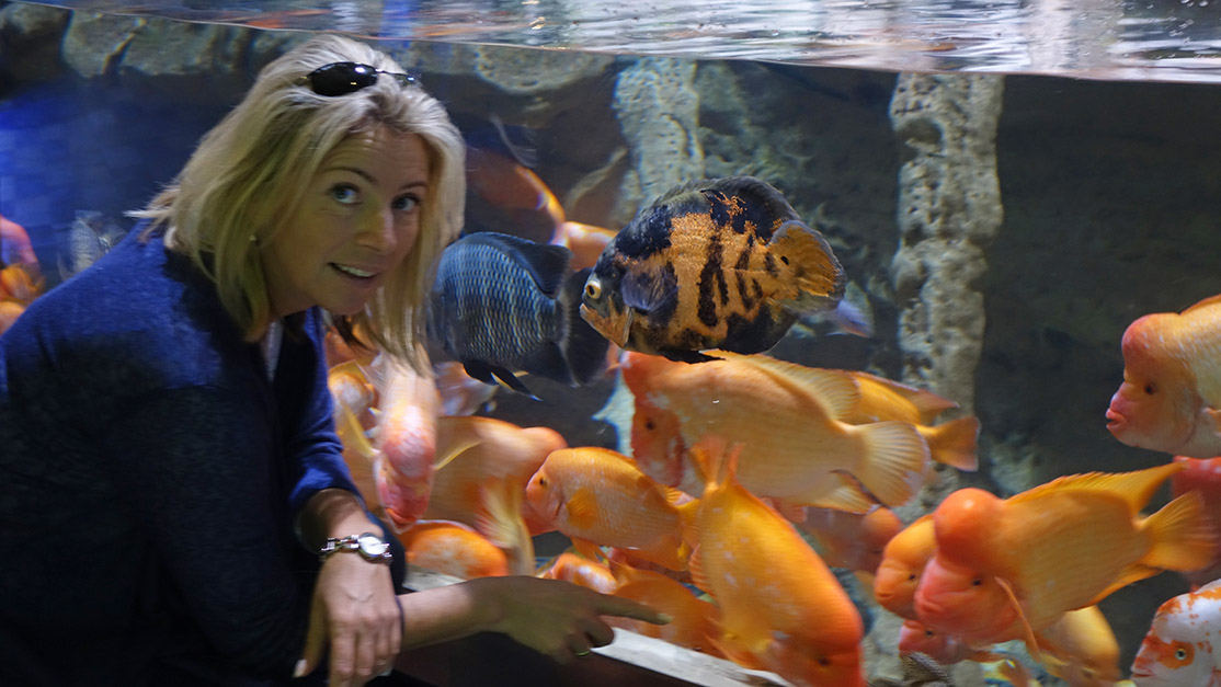 93_Aquarium in der Dubai Mall