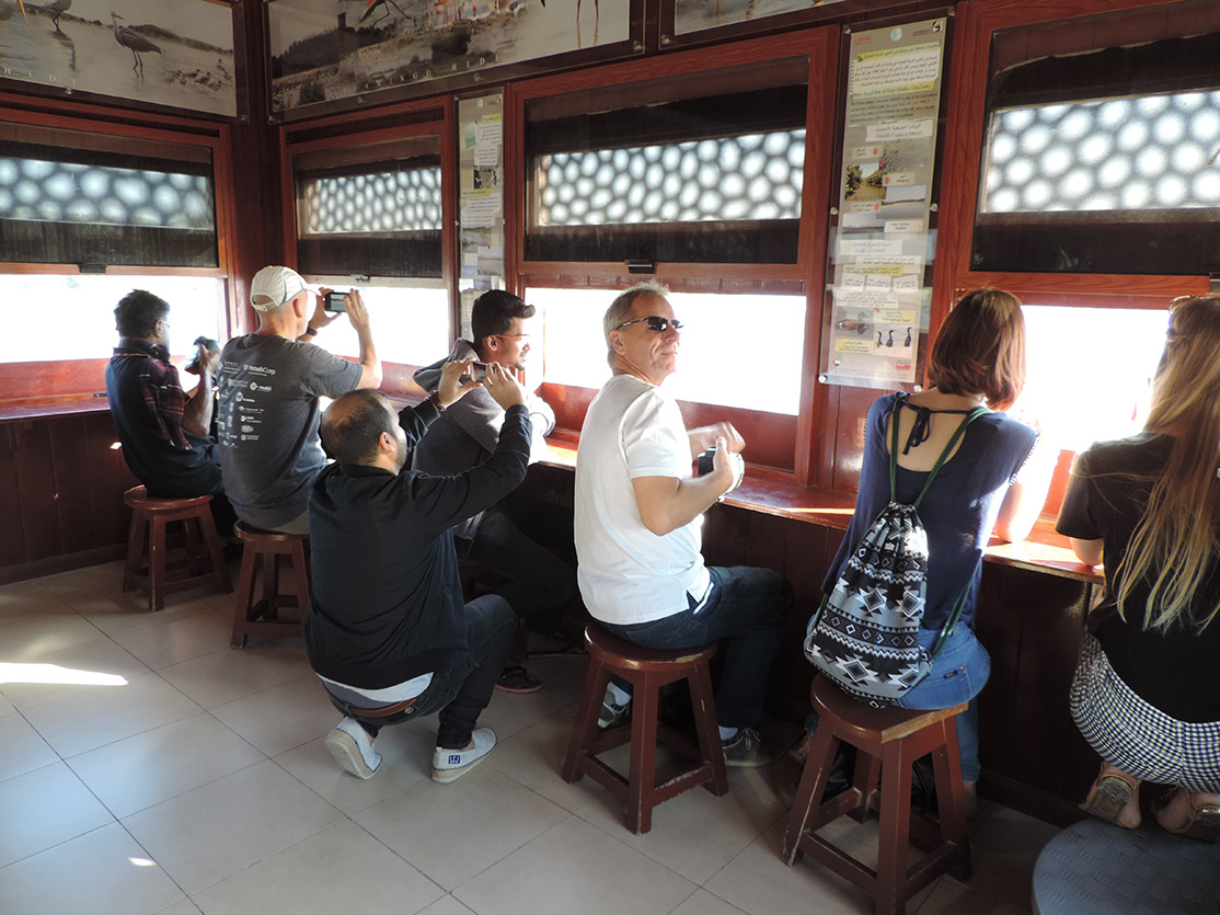 114_Naturschutzgebiet Ras Al Khor Wildlife Sanctuary