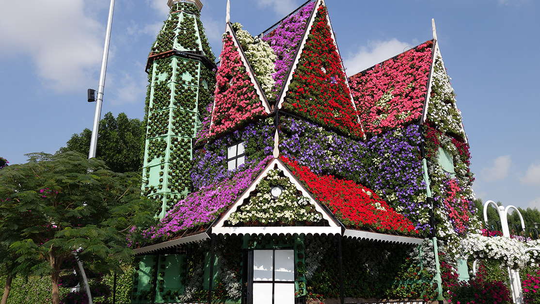 20_Miracle Garden