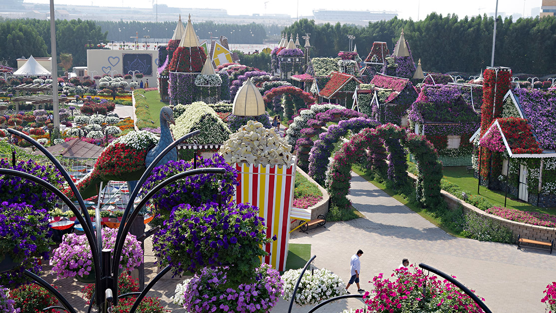 08a_Miracle Garden