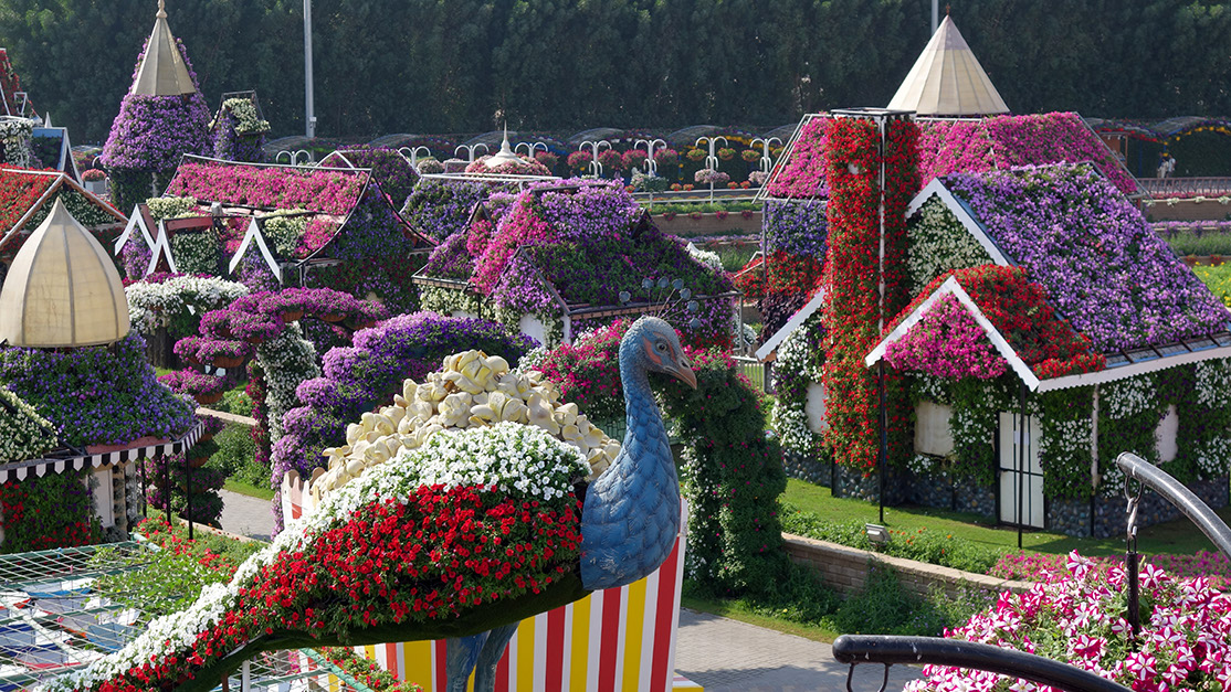 08_Miracle Garden