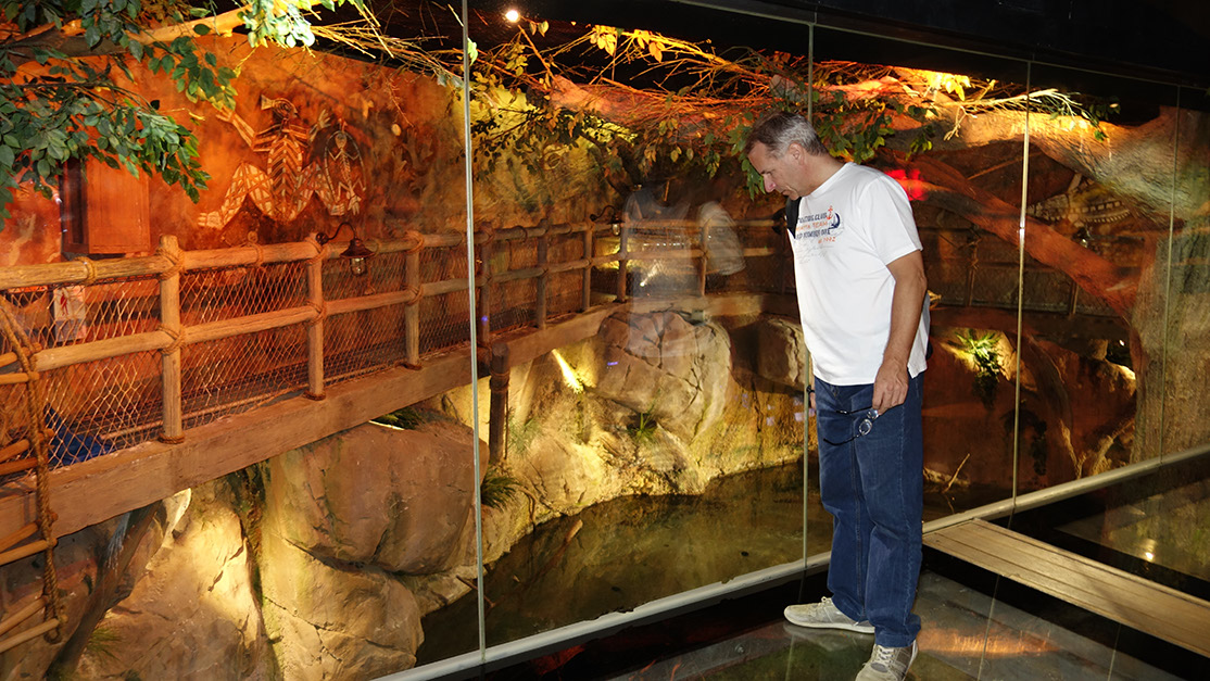 95_Aquarium in der Dubai Mall