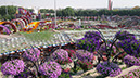 06_Miracle Garden