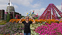15_Miracle Garden