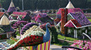 08_Miracle Garden