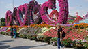 07_Miracle Garden