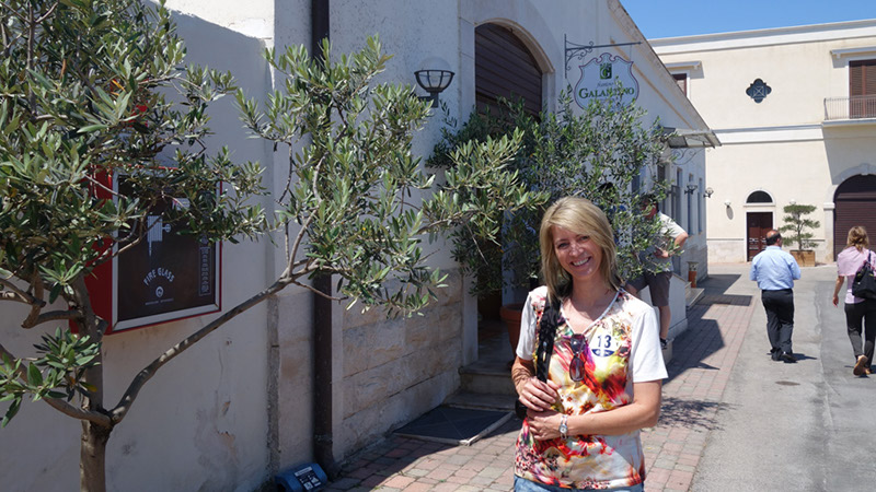 020_Olivenoelherstellung