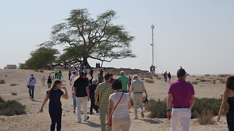 Bahrain_Baum des Lebens Naturdenkmal  (13)