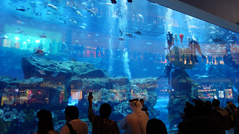 Dubai Mall_Weltgrösstes Aquarium  (47)