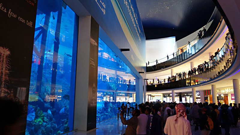 Dubai Mall_Weltgrösstes Aquarium  (48)