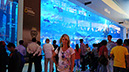 Dubai Mall_Weltgrösstes Aquarium  (45)