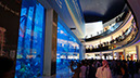 Dubai Mall_Weltgrösstes Aquarium  (48)
